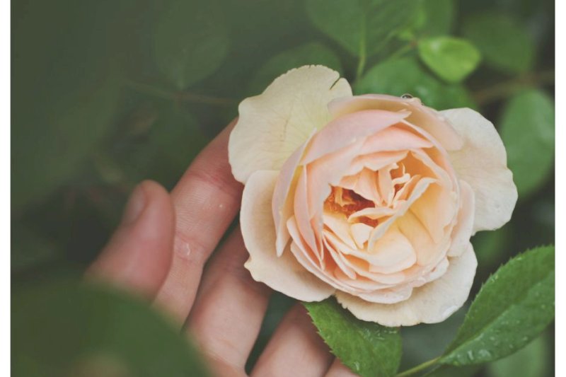 Prodloužený víkend s kundaliní jógou