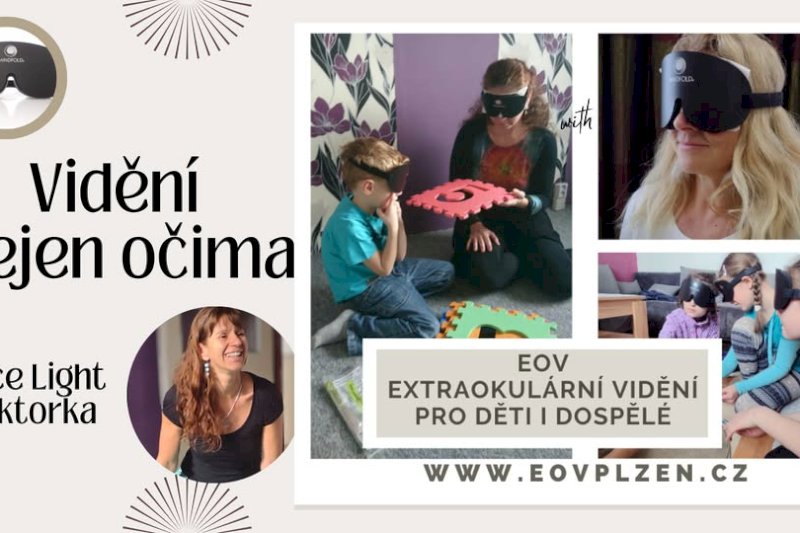 Workshop EOV
